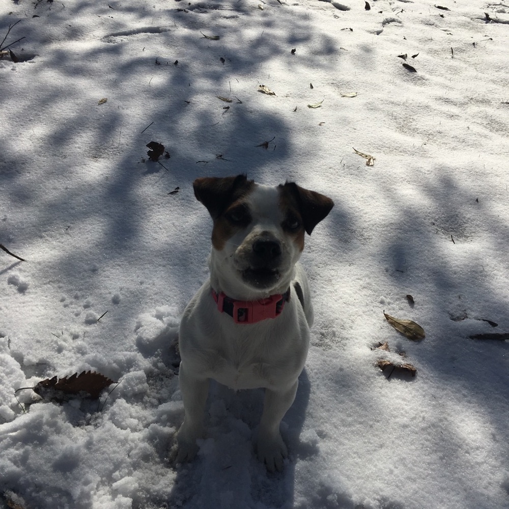 Meet your Posher, Nicole